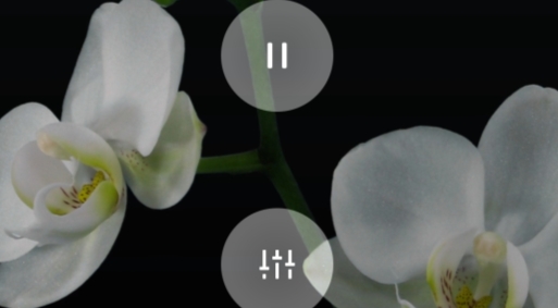 oppo relax安装包app oppo relax安装包app
