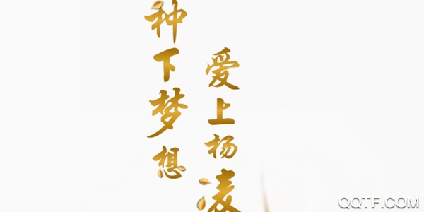 爱杨凌app 爱杨凌app