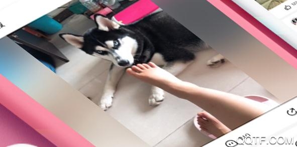 皮皮虾app红包版 皮皮虾app红包版