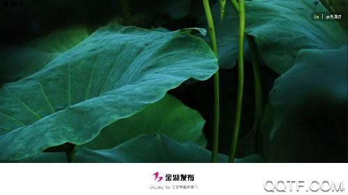 金湖发布App官方版 金湖发布App官方版